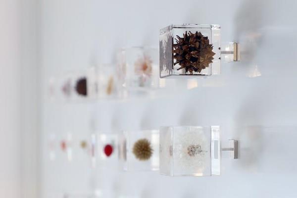 Sola cubeのマグネット