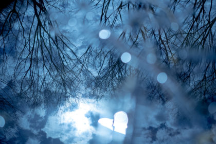 水たまりに映る風景