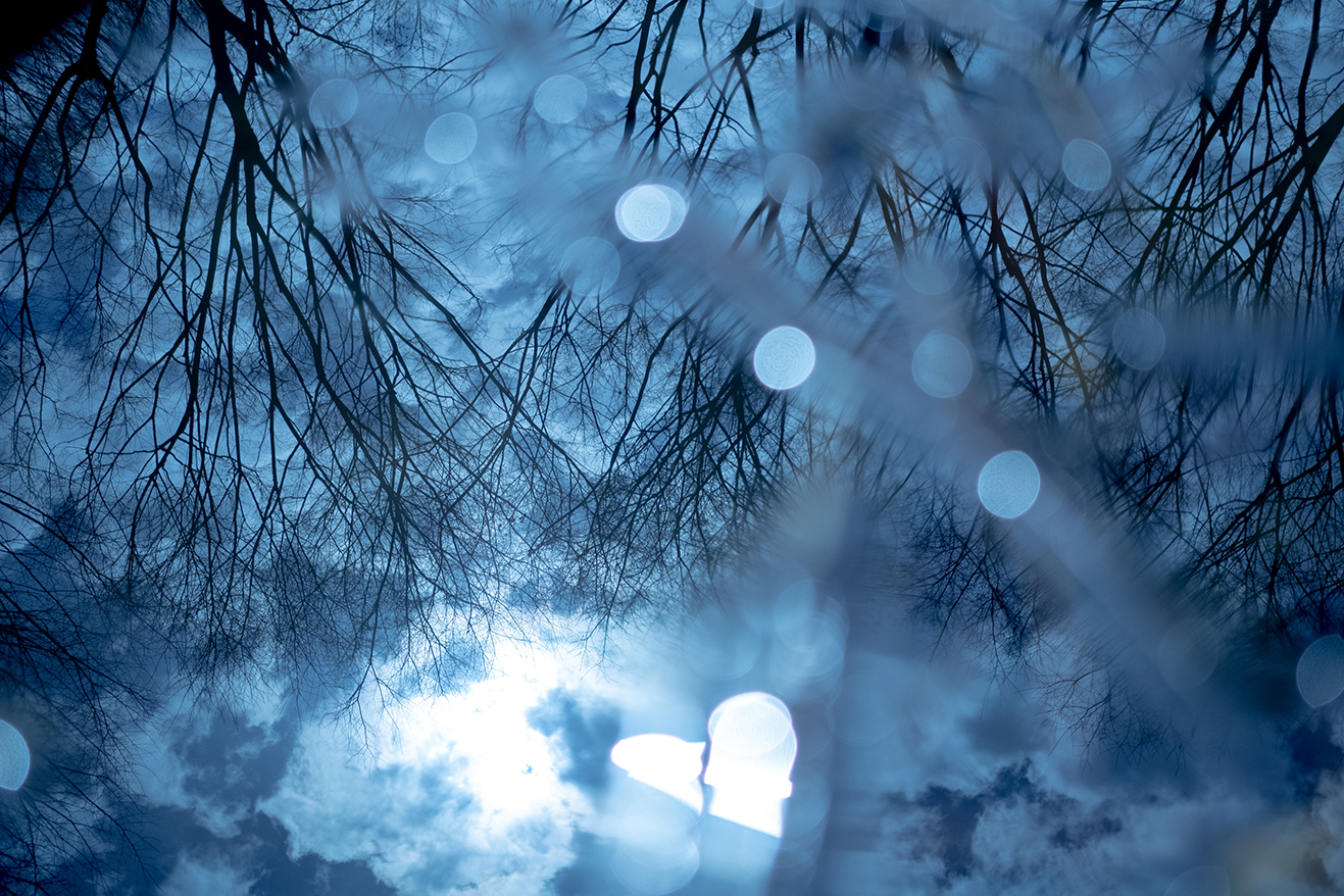 水たまりに映る風景