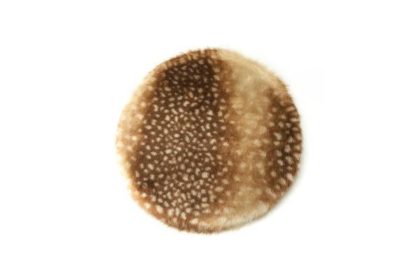 肌ざわりのいいおしゃれなチェアパッド