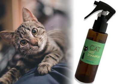 やさしい国産オーガニックシャンプー