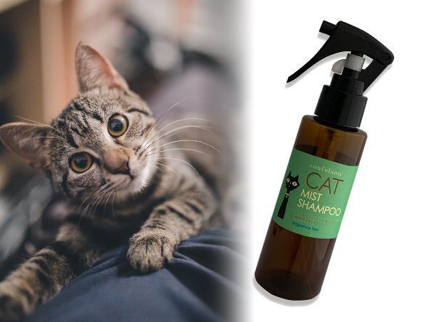 やさしい国産オーガニックシャンプー