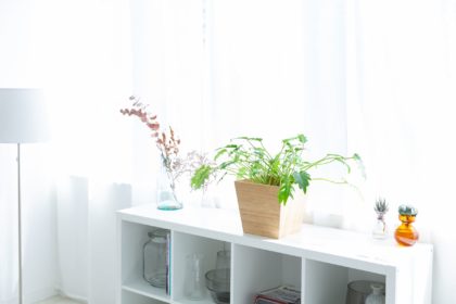 映える観葉植物の飾り方