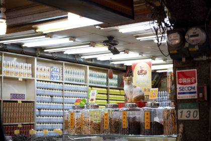 店先に鎮座する猫