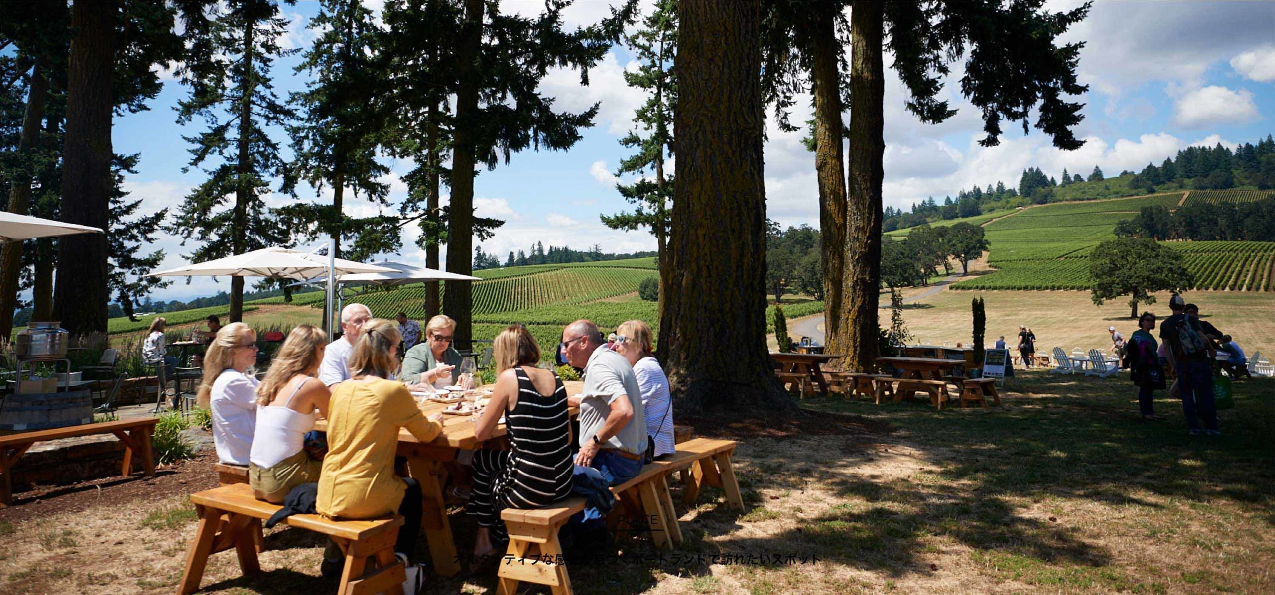 ウィラメットヴァレーのワイナリー