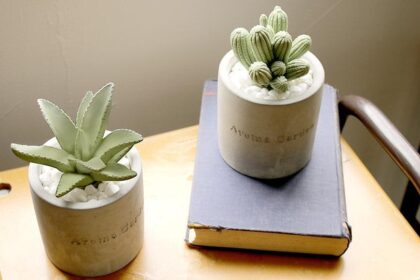 リードディフューザー