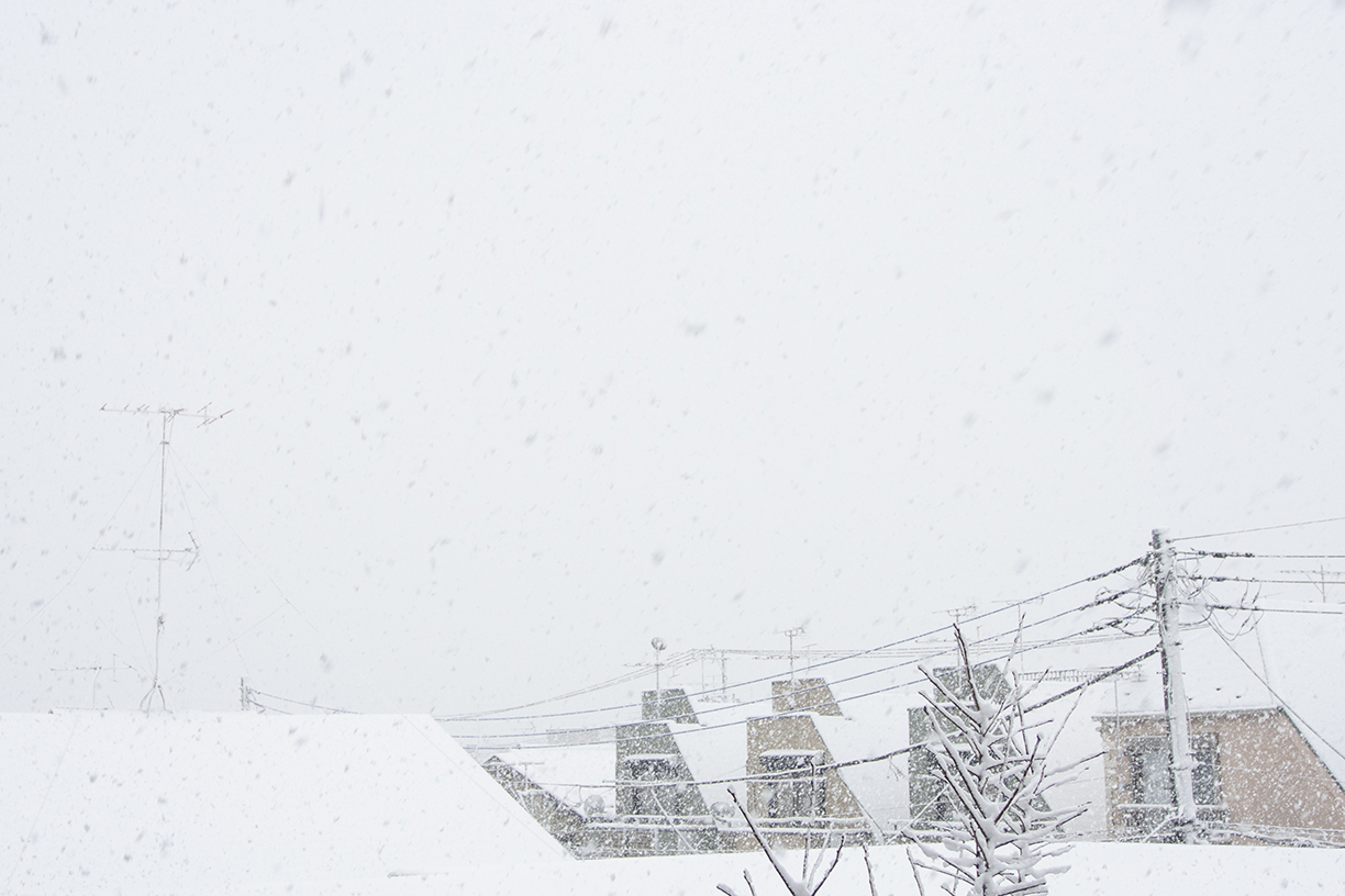 雪の降る景色