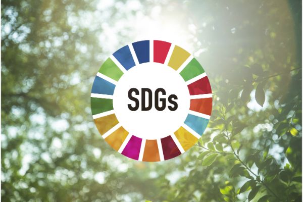 身近なところからSDGsを始めよう。心地よいサスティナブルな暮らし