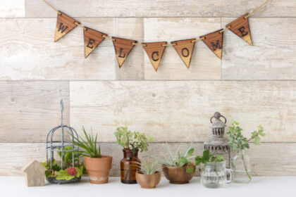 インテリアに癒しをプラスしよう。おすすめのおしゃれな観葉植物紹介