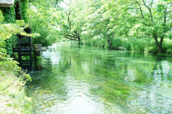 日本の豊かな水資源を守るため、私たちができること
